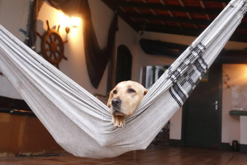 Hostel House 84 Itajaí Екстериор снимка
